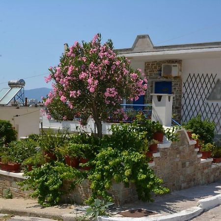 Traditional Summer House In Marmari Marmari  Dış mekan fotoğraf