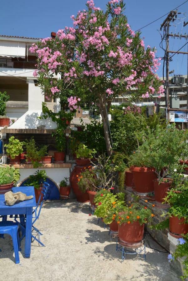 Traditional Summer House In Marmari Marmari  Dış mekan fotoğraf