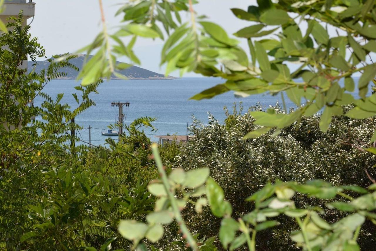 Traditional Summer House In Marmari Marmari  Dış mekan fotoğraf